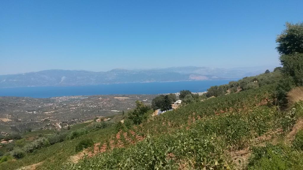 Вілла Spiti Ostria Егіо Екстер'єр фото